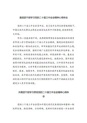 基层团干部学习党的二十届三中全会精神心得体会（共8篇）.docx
