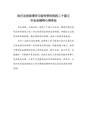 执行法官助理学习宣传贯彻党的二十届三中全会精神心得体会.docx