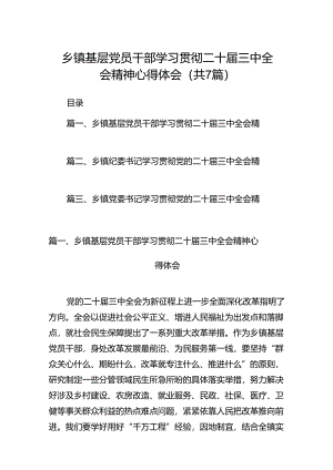 乡镇基层党员干部学习贯彻二十届三中全会精神心得体会7篇（详细版）.docx