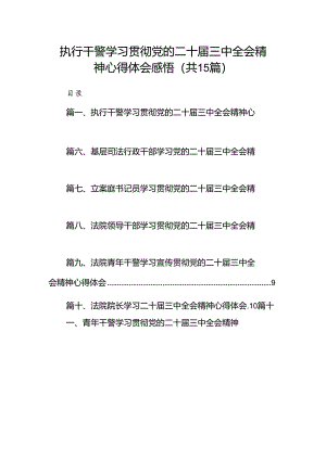 （15篇）执行干警学习贯彻党的二十届三中全会精神心得体会感悟（精选）.docx