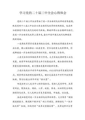 学习2024年学习党的二十届三中全会个人心得感悟 （3份）_79.docx