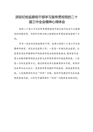 派驻纪检监察组干部学习宣传贯彻党的二十届三中全会精神心得体会.docx