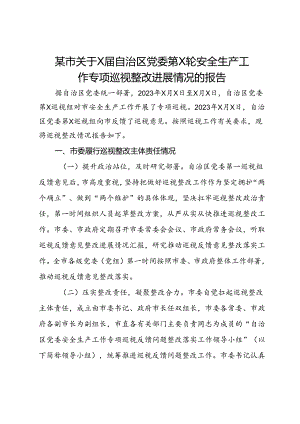 某市关于安全生产工作专项巡视整改进展情况的报告.docx