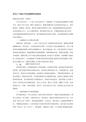 学习二十届三中全会精神交流发言.docx