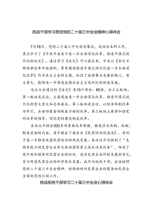 统战干部学习贯彻党的二十届三中全会精神心得体会8篇（精选）.docx