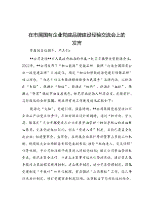 在市属国有企业党建品牌建设经验交流会上的发言.docx
