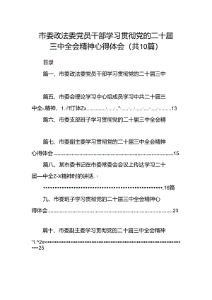 市委政法委党员干部学习贯彻党的二十届三中全会精神心得体会十篇（精选）.docx