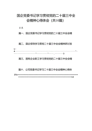 （10篇）国企党委书记学习贯彻党的二十届三中全会精神心得体会（详细版）.docx