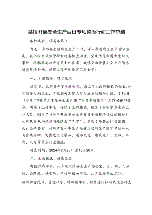 某镇开展安全生产百日专项整治行动工作总结.docx