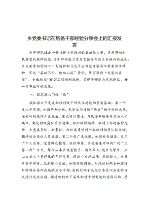 乡党委书记在后备干部经验分享会上的汇报发言.docx