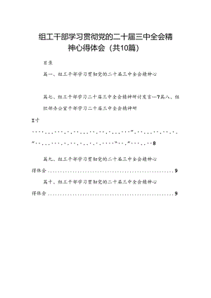 （10篇）组工干部学习贯彻党的二十届三中全会精神心得体会模板.docx