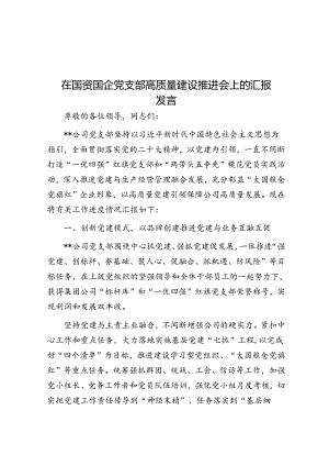 在国资国企党支部高质量建设推进会上的汇报发言.docx