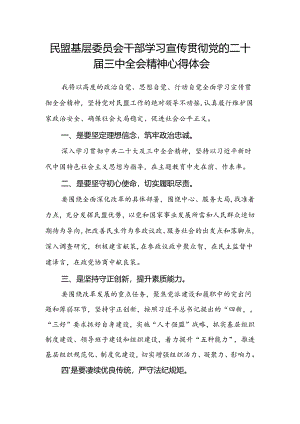 民盟基层委员会干部学习宣传贯彻党的二十届三中全会精神心得体会.docx