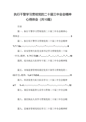 （10篇）执行干警学习贯彻党的二十届三中全会精神心得体会集合.docx
