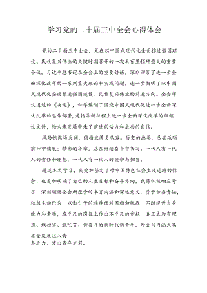 学习2024年学习党的二十届三中全会个人心得感悟 （3份）_69.docx