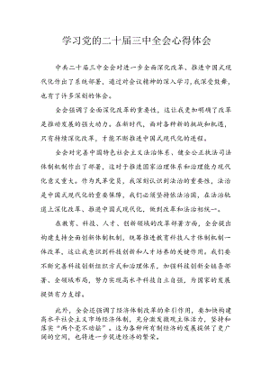 学习2024年学习党的二十届三中全会个人心得感悟 （3份）_51.docx