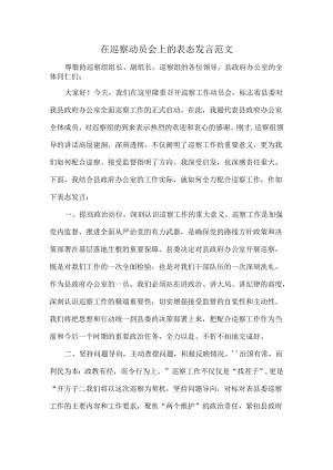 在巡察动员会上的表态发言范文.docx
