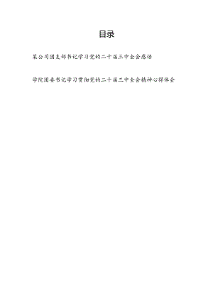 团委书记团支部书记学习党的二十届三中全会精神心得体会感悟2篇.docx