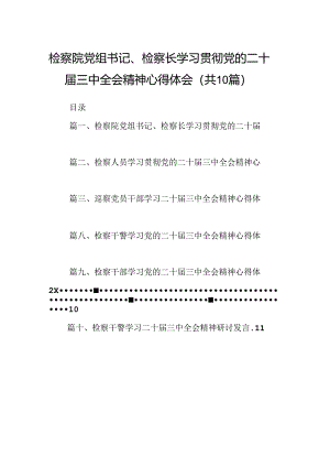 （10篇）检察院党组书记、检察长学习贯彻党的二十届三中全会精神心得体会参考范文.docx