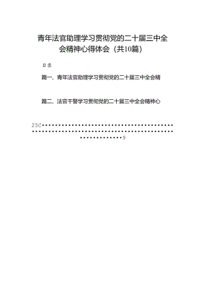 青年法官助理学习贯彻党的二十届三中全会精神心得体会10篇（精选）.docx