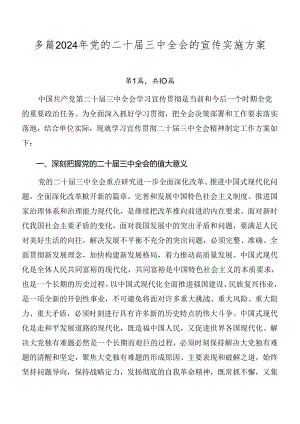多篇2024年党的二十届三中全会的宣传实施方案.docx