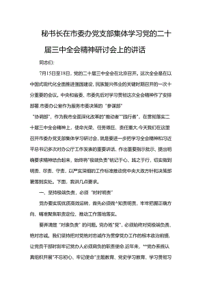 秘书长在市委办党支部集体学习党的二十届三中全会精神研讨会上的讲话.docx