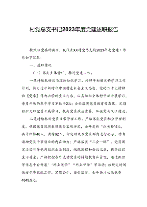村党总支书记2023年度党建述职报告.docx