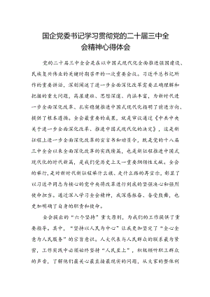 国企党委书记学习贯彻党的二十届三中全会精神心得体会.docx