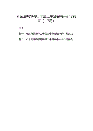 市应急局领导二十届三中全会精神研讨发言（共7篇）.docx