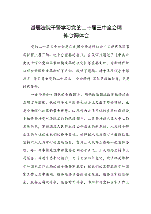 基层法院干警学习党的二十届三中全会精神心得体会.docx