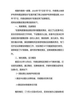 关于黑土地保护利用专题巡察整改进展情况的报告.docx