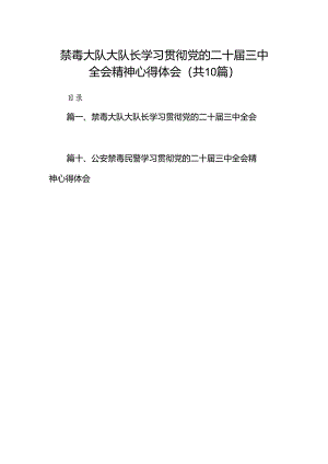 （10篇）禁毒大队大队长学习贯彻党的二十届三中全会精神心得体会（精选）.docx