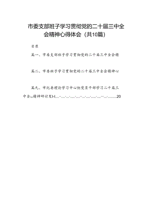 （10篇）市委支部班子学习贯彻党的二十届三中全会精神心得体会范文.docx