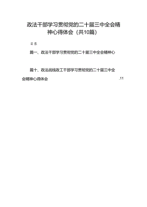 政法干部学习贯彻党的二十届三中全会精神心得体会10篇（最新版）.docx