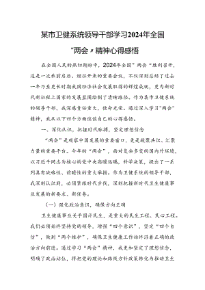 某市卫健系统领导干部学习2024年全国“两会”精神心得感悟.docx