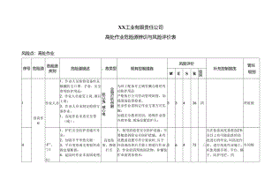XX工业有限责任公司高处作业危险源辨识与风险评价表（2024年）.docx