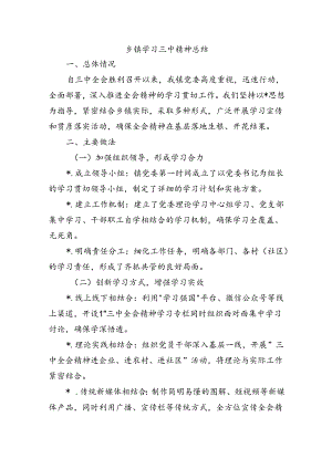 乡镇学习三中精神总结.docx