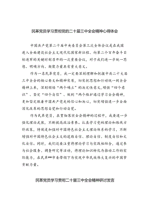 民革党员学习贯彻党的二十届三中全会精神心得体会(四篇集合).docx