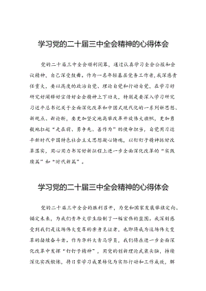 2024年党的二十届三中全会精神学习体会模板三十篇.docx