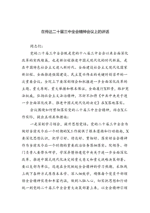 （8篇）在传达二十届三中全会精神会议上的讲话（精编版）.docx