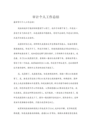 审计个人工作总结.docx
