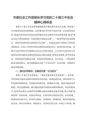 市委社会工作部部长学习党的二十届三中全会精神心得体会.docx