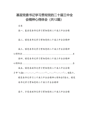 基层党委书记学习贯彻党的二十届三中全会精神心得体会12篇（精选）.docx
