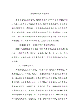 医院班子党政工作报告.docx