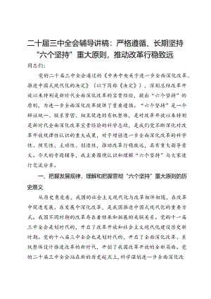 二十届三中全会辅导讲稿：严格遵循、长期坚持“六个坚持”重大原则推动改革行稳致远.docx