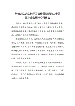刑侦大队大队长学习宣传贯彻党的二十届三中全会精神心得体会.docx