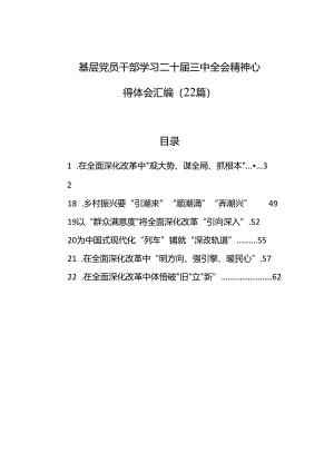 基层党员干部学习二十届三中全会精神心得体会汇编（22篇）.docx