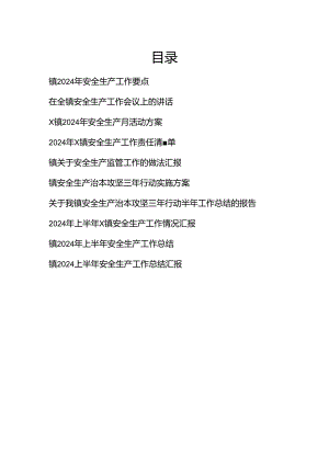 2024年乡镇安全生产学习材料汇编（工作要点讲话活动方案责任清单做法汇报总结）.docx