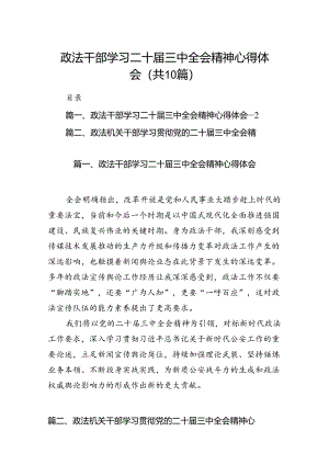 政法干部学习二十届三中全会精神心得体会10篇（详细版）.docx