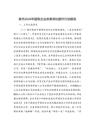 某市2024年国有企业改革深化提升行动报告.docx